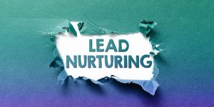 B2B Lead Nurturing Examples to Groom Business with Expertise & Assurance